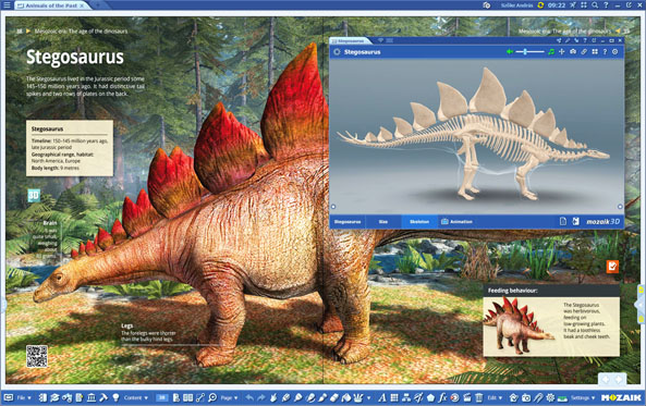 front image scroll content1